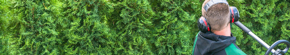 Garten- und Landschaftspflege